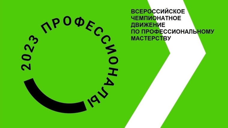 ЛИДЕРЫ - "ПРОФЕССИНАЛЫ".