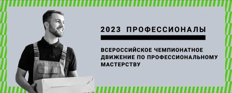Профессионалы - 2023!.